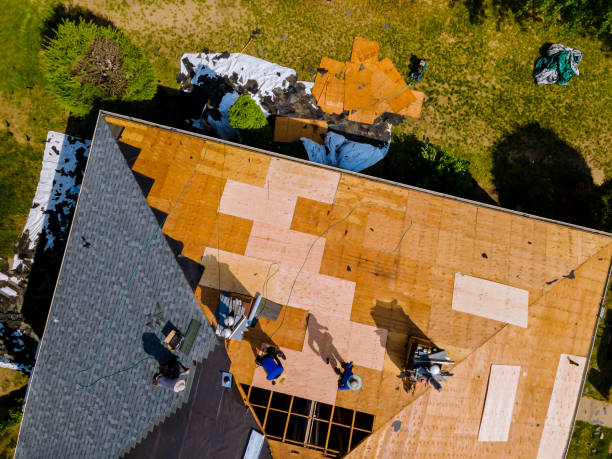 Roof Waterproofing Services in Bloomfield, IN